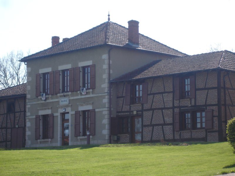 Marsonnas