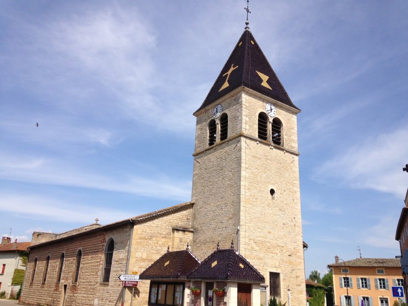 Mogneneins