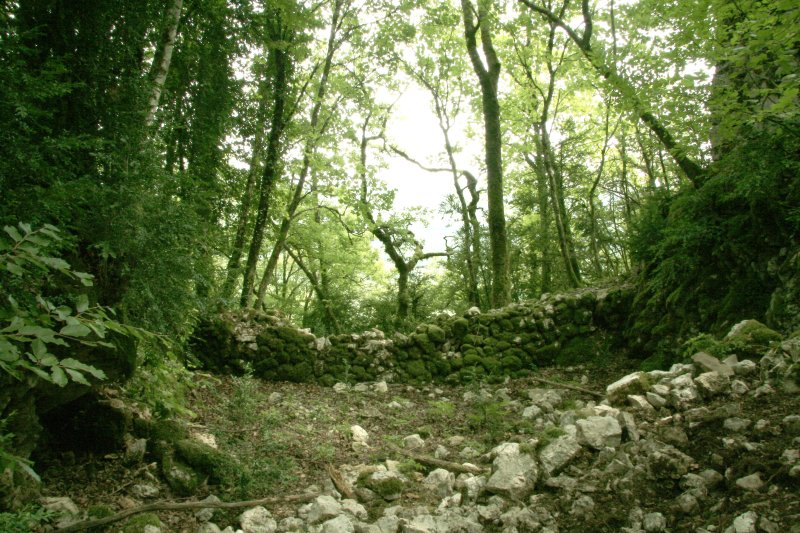 Nivollet-Montgriffon