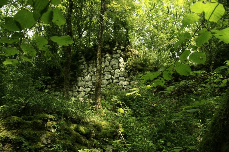 Nivollet-Montgriffon