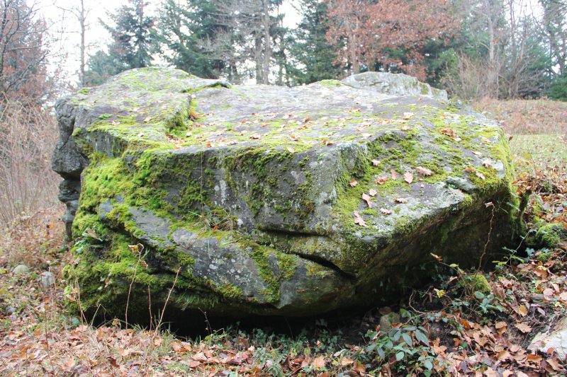 Saint-Jean-de-Gonville