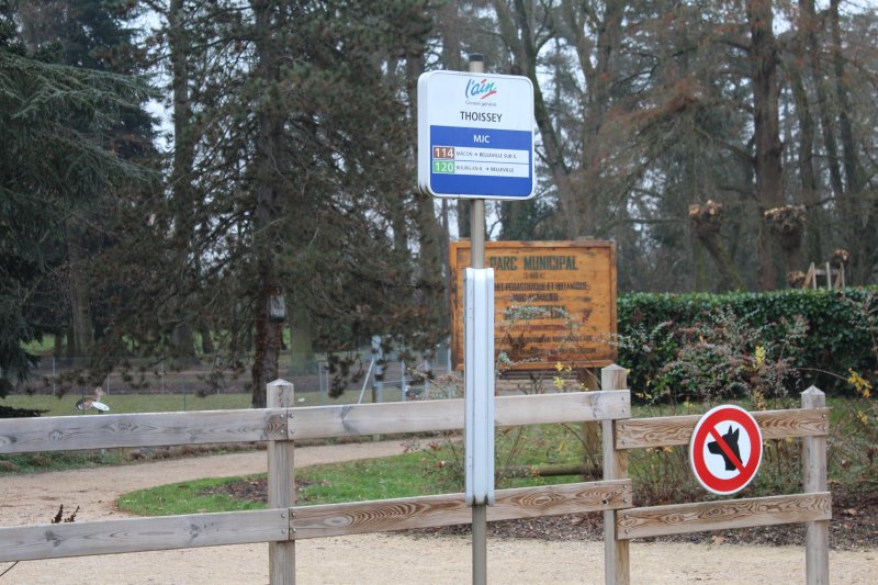 Photo 6 — Thoissey, Ain (01140)
