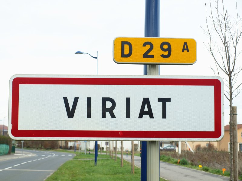 Viriat
