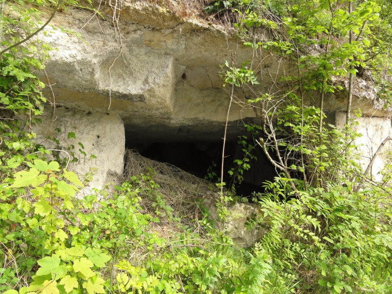 Bièvres