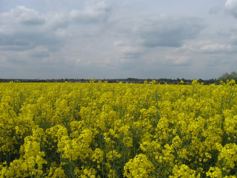 Bohain-en-Vermandois