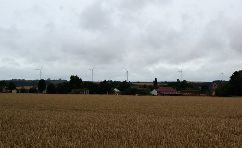 Bussiares
