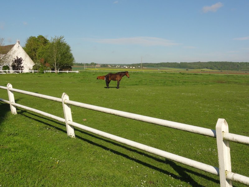 Cerny-lès-Bucy