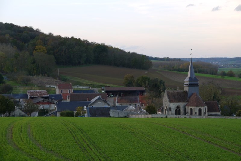 Cerseuil