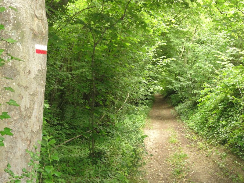 Chavigny