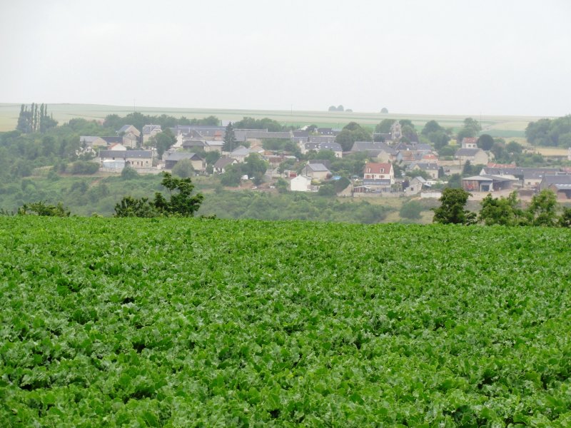 Chavigny