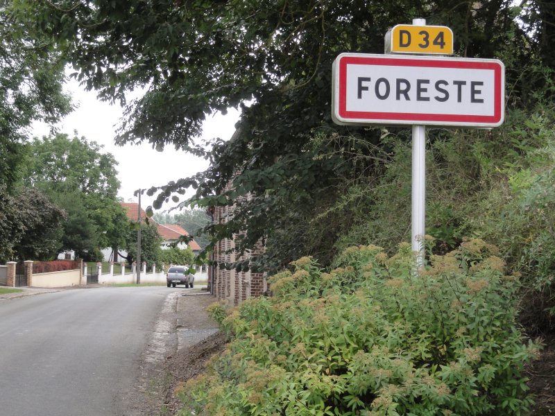 Foreste