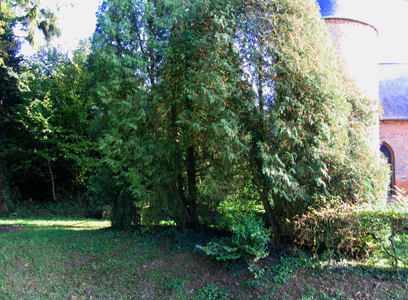 Grandrieux