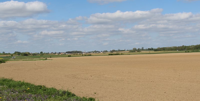 Holnon