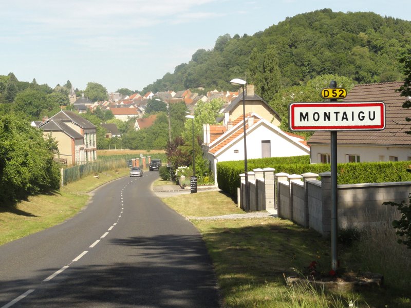 Montaigu