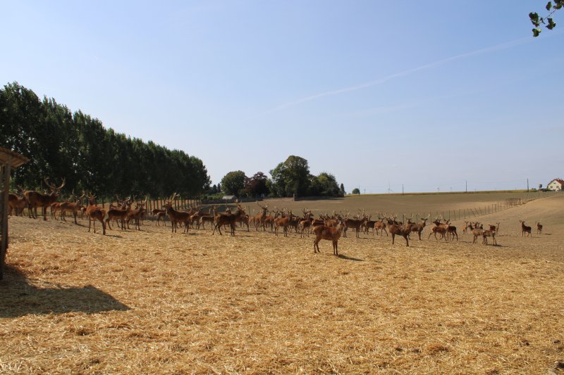 La Neuville-Bosmont