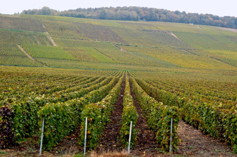 Passy-sur-Marne