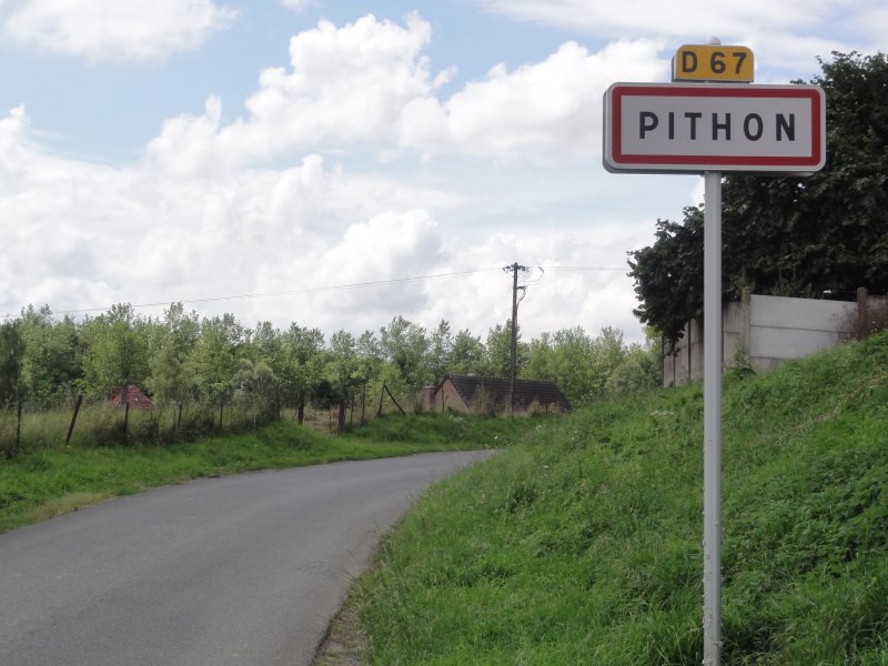 Pithon