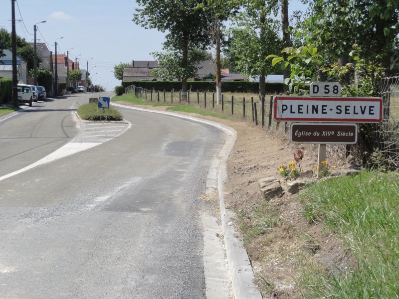Pleine-Selve
