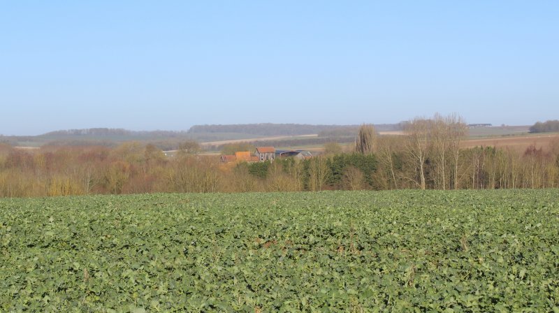 Pontru