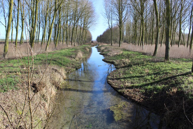 Pontru
