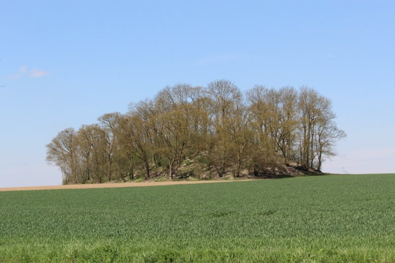 Pontru
