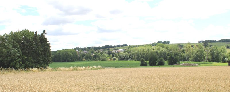 Prisces