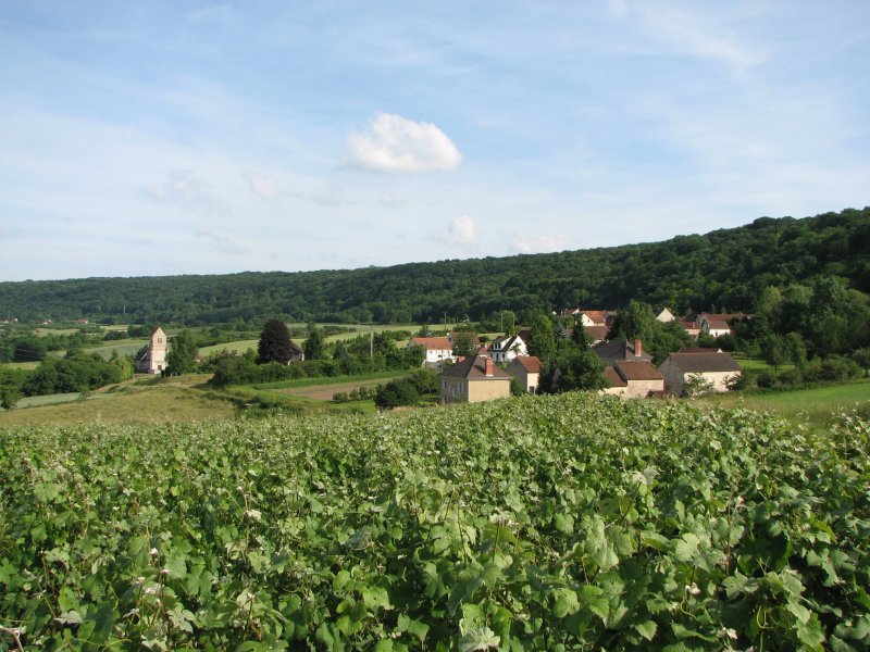 Reuilly-Sauvigny