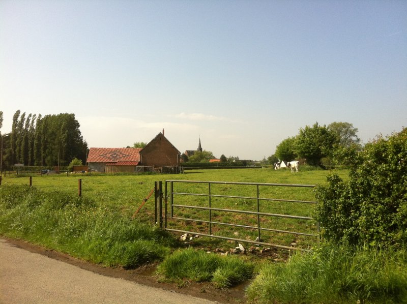 Ribeauville