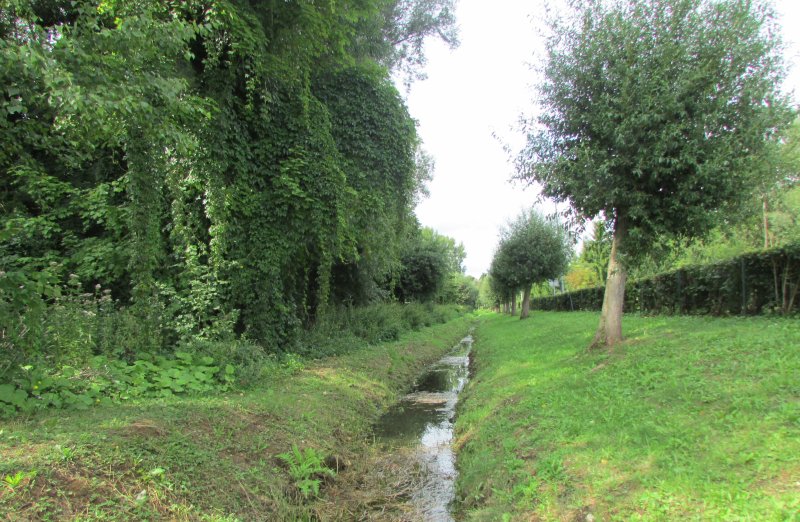 Rouvroy