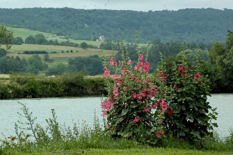 Trélou-sur-Marne