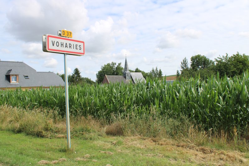 Voharies