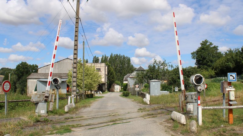 Voharies