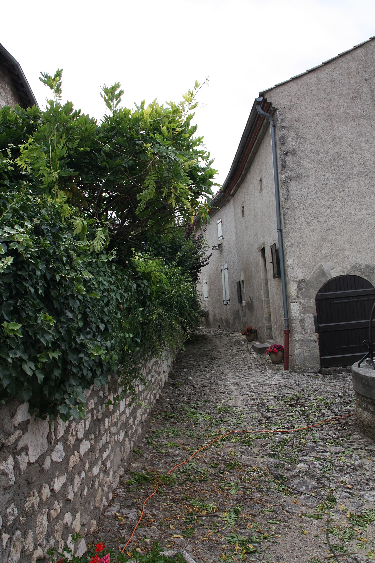 Photo 5 — Charroux, Allier (03140)