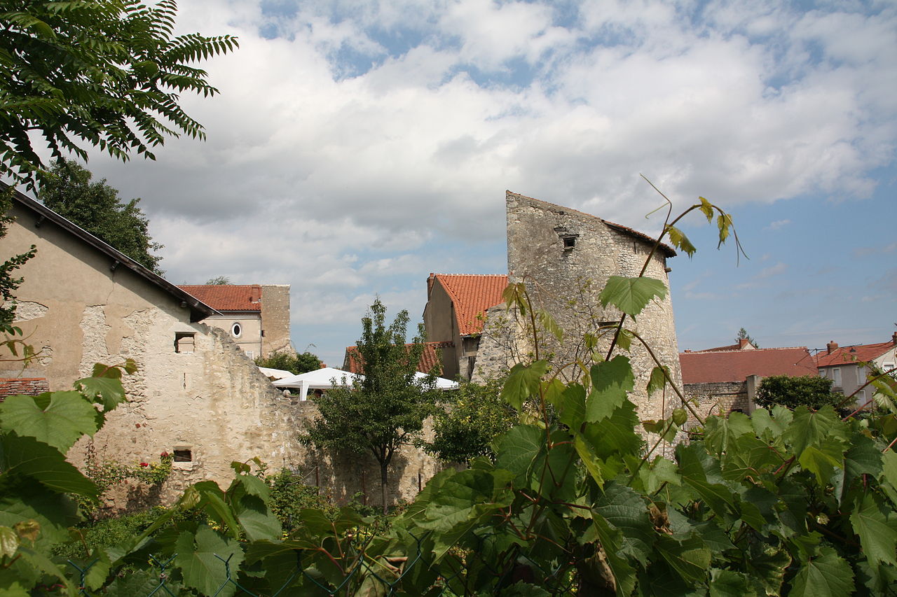 Photo 6 — Charroux, Allier (03140)