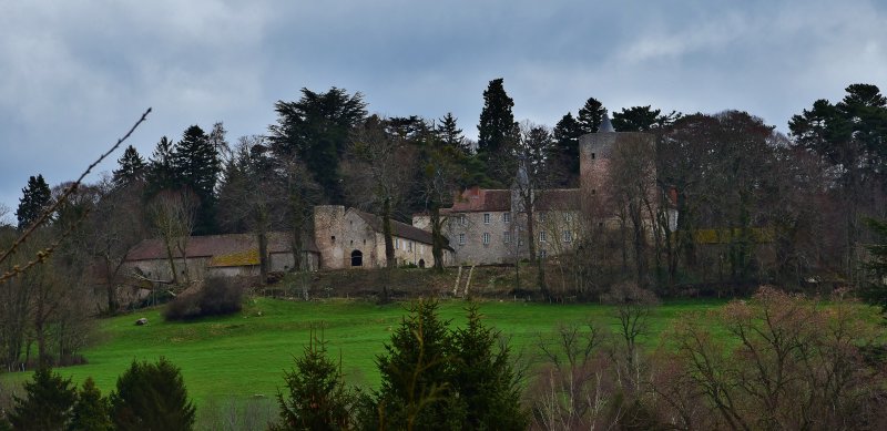 Échassières