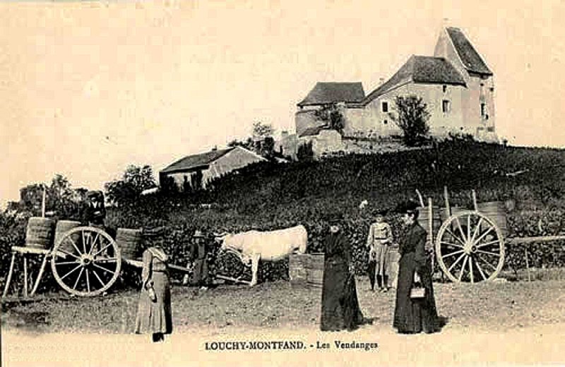 Louchy-Montfand