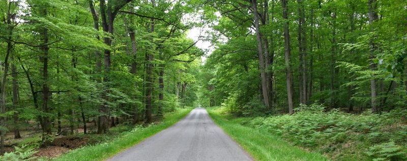 Saint-Bonnet-Tronçais