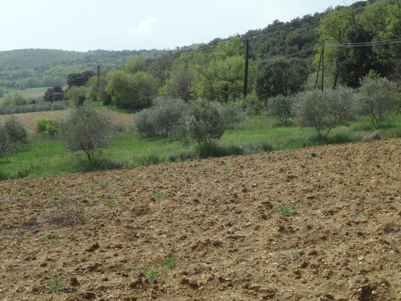 Le Castellet