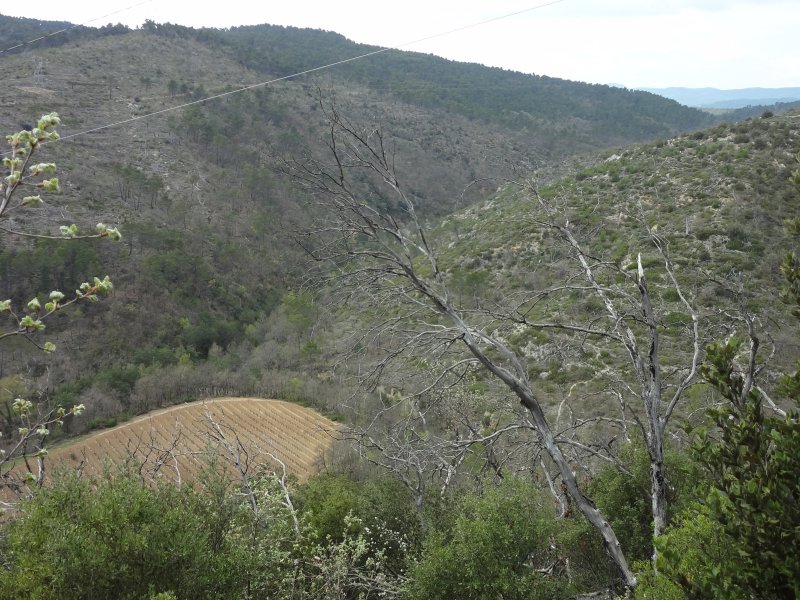 Corbières-en-Provence