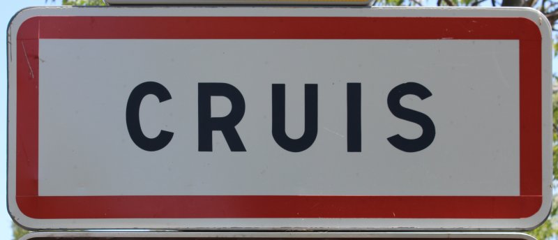 Cruis