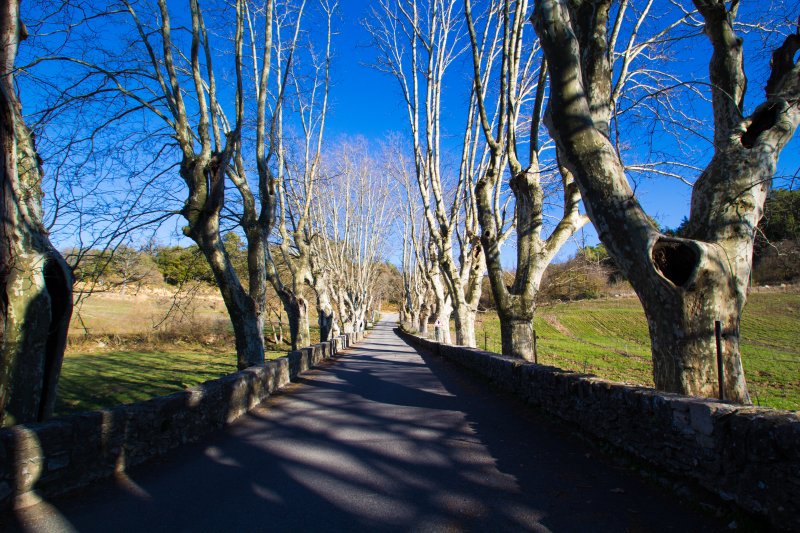 Esparron-de-Verdon