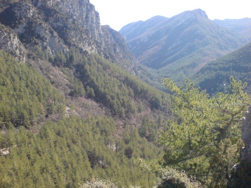 Estoublon
