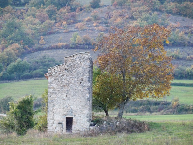 Limans