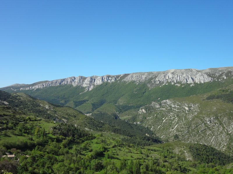Majastres