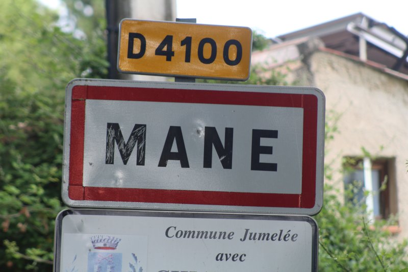 Mane