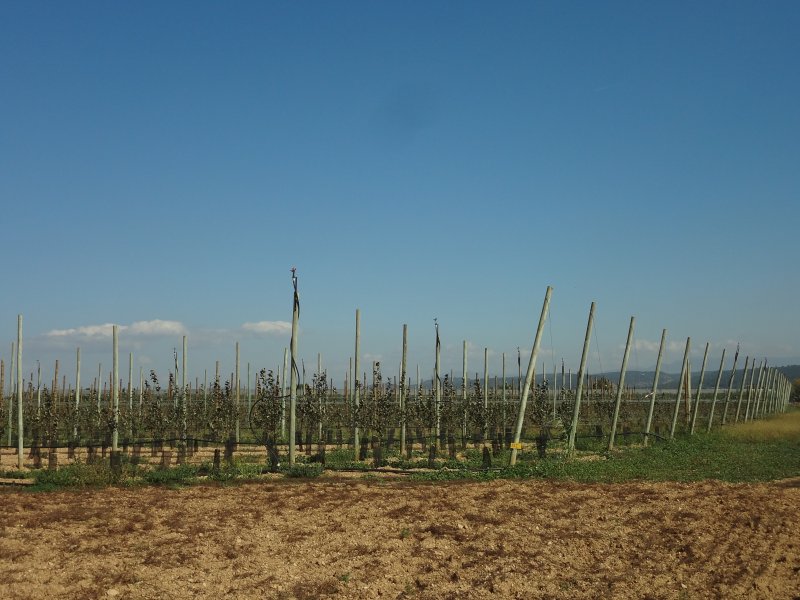 Manosque