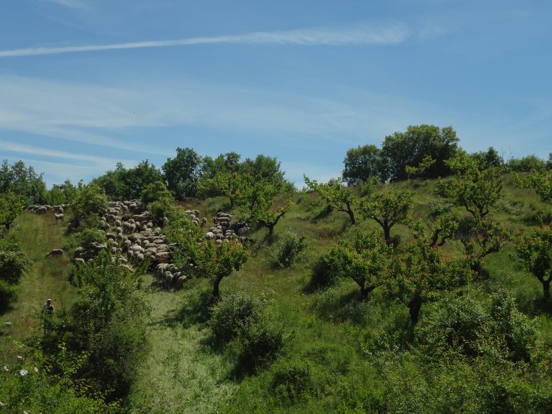 Les Mées