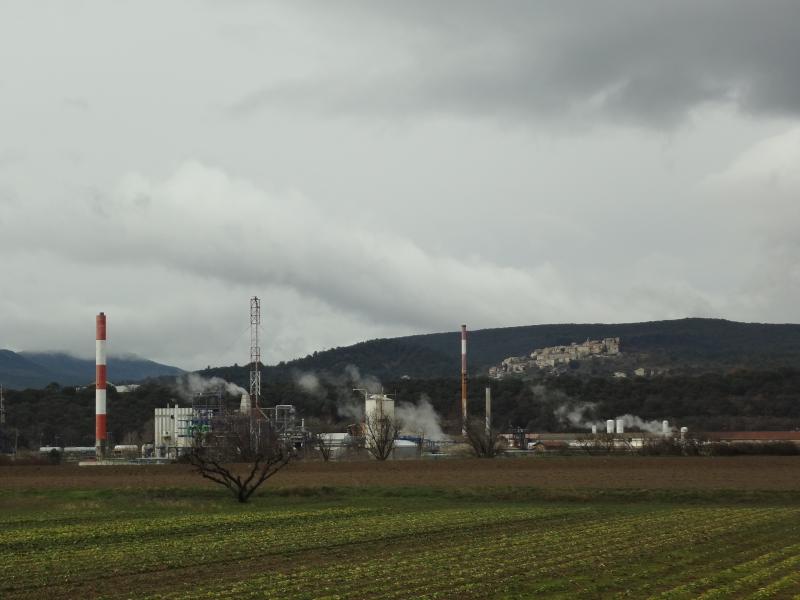 Montfort