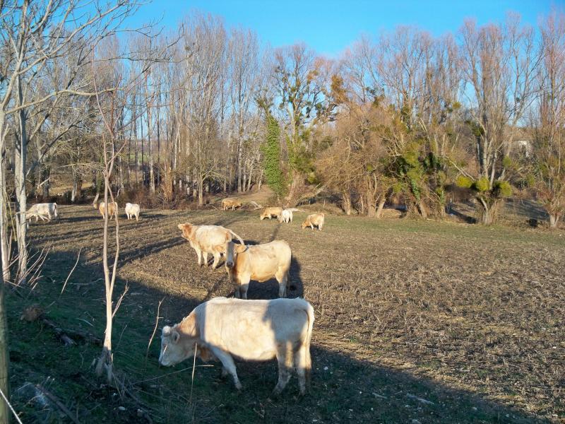 Montjustin