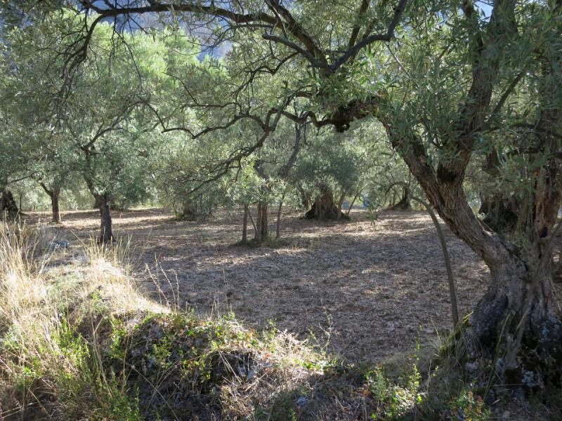 Moustiers-Sainte-Marie